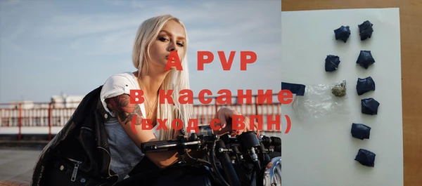 твердый Арсеньев