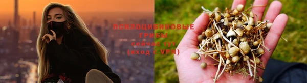 крисы Армянск