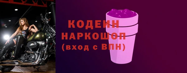 дурь Осташков