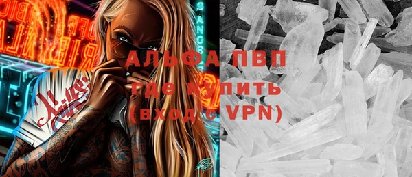 твердый Арсеньев