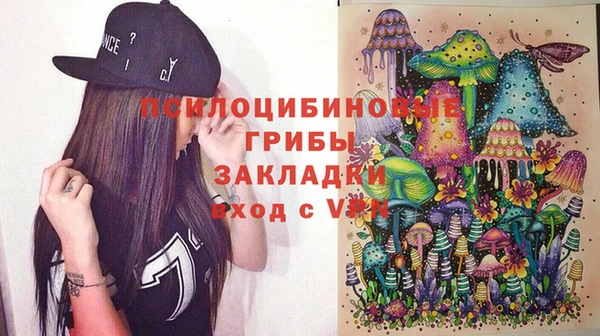 твердый Арсеньев