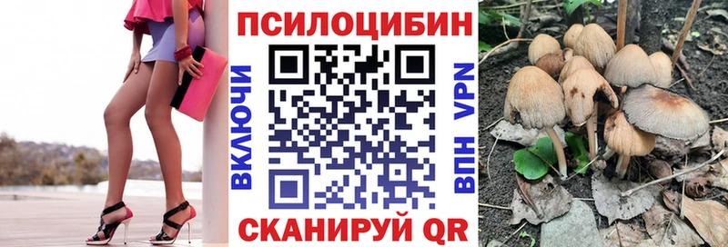 где купить   Собинка  Галлюциногенные грибы Magic Shrooms 